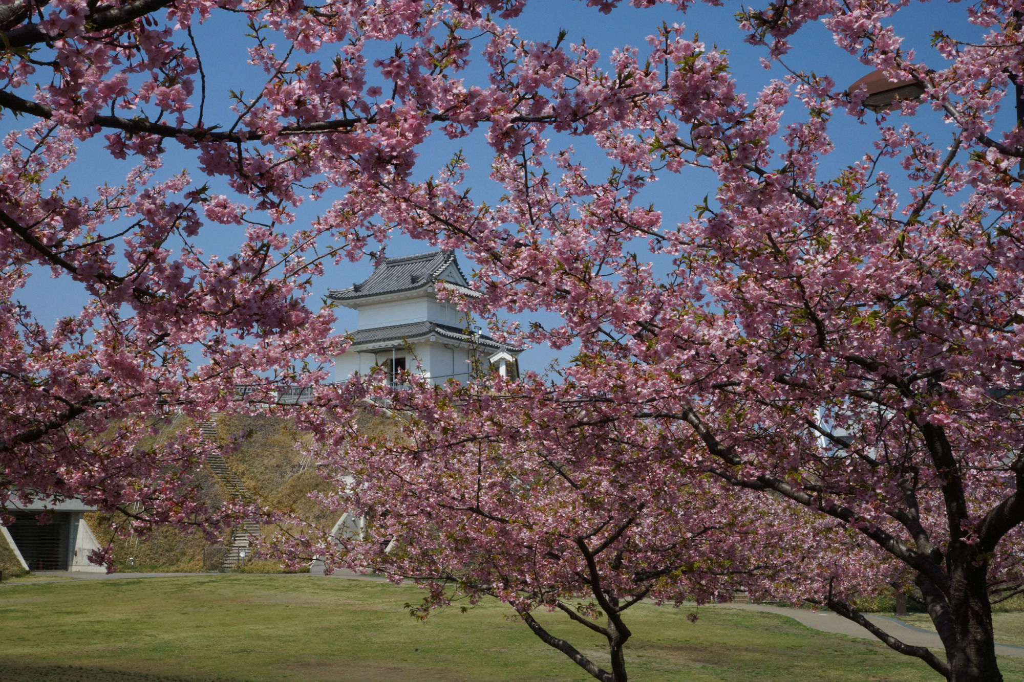 2018年3月25日(日)