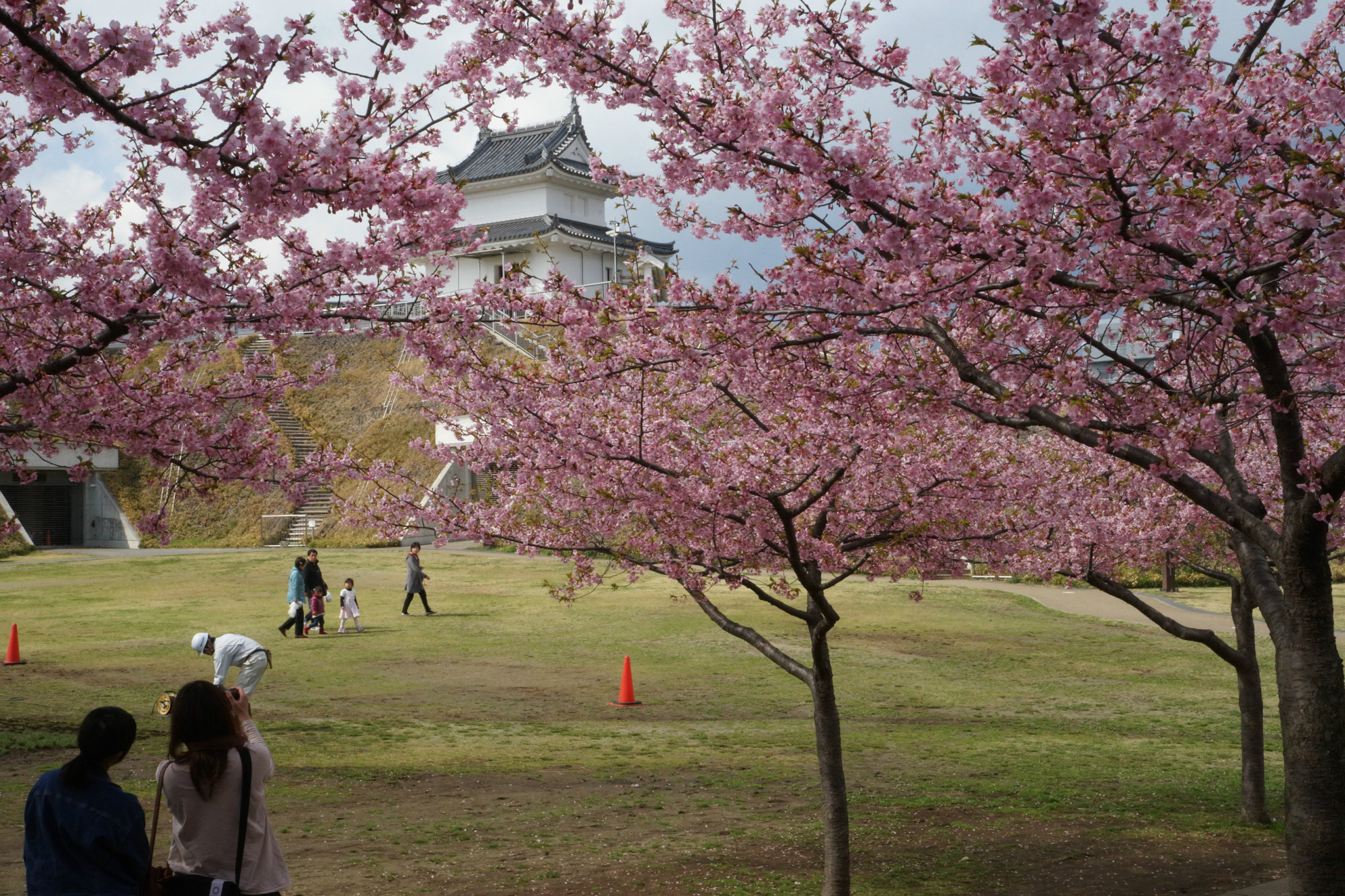 2018年3月23日(金)
