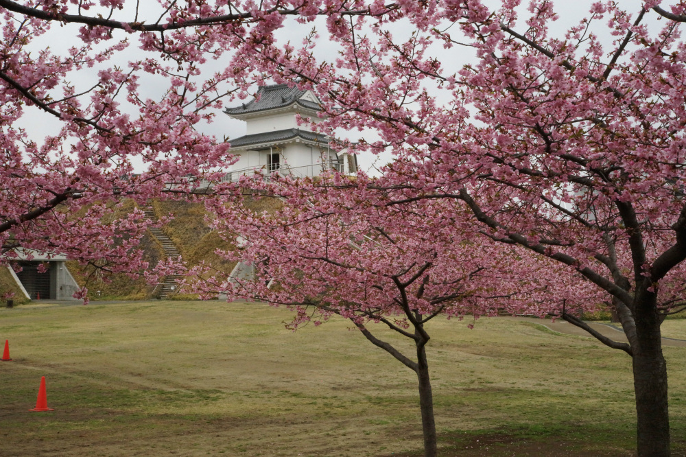 2018年3月20日（火）