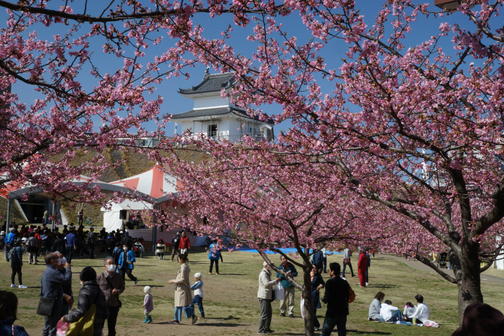 2018年3月17日（土）