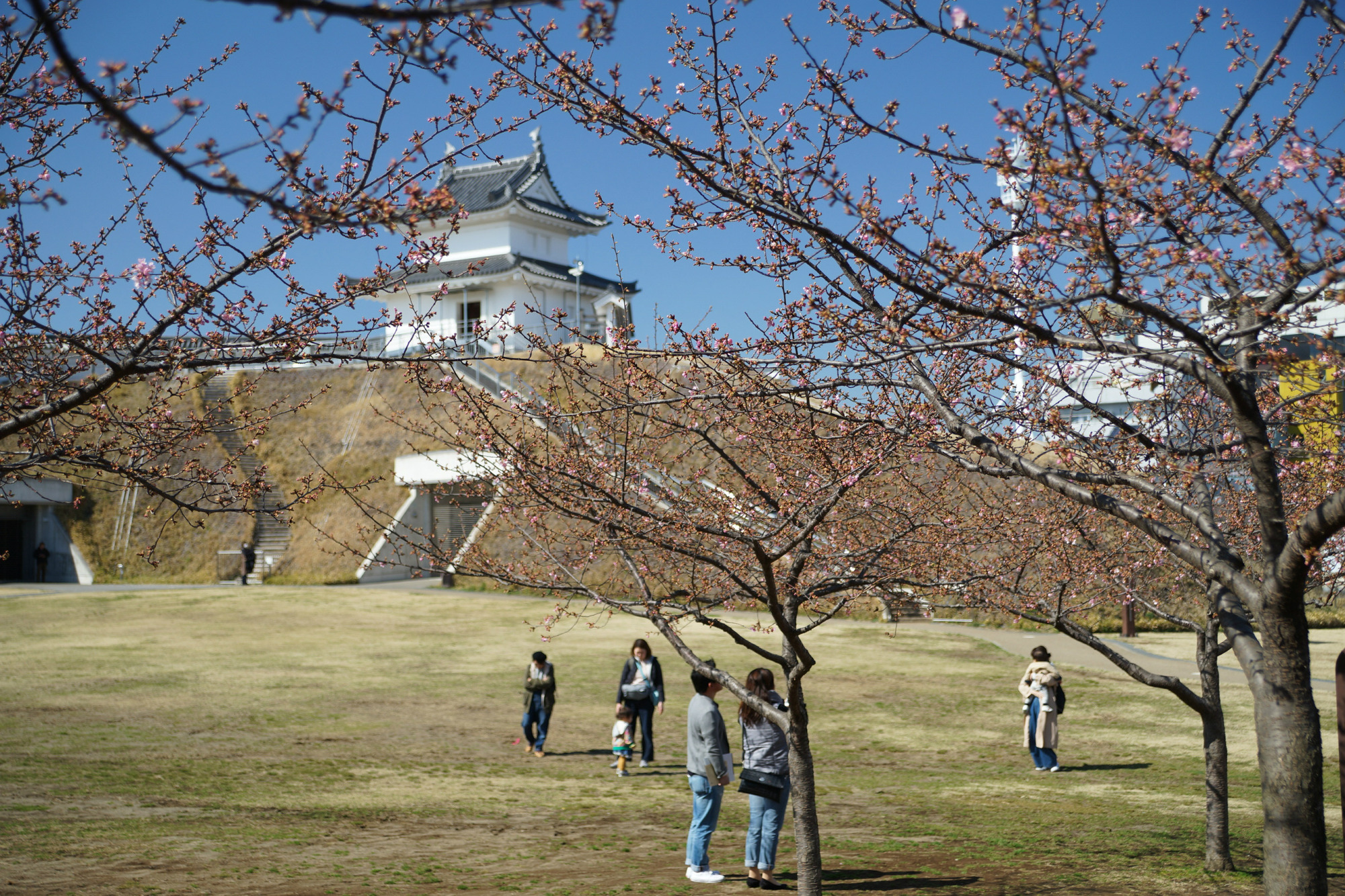 2018年3月12日(月)