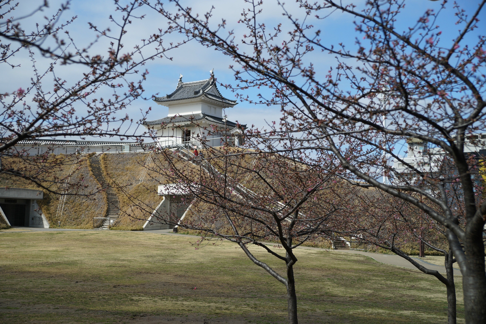2018年3月10日(土)