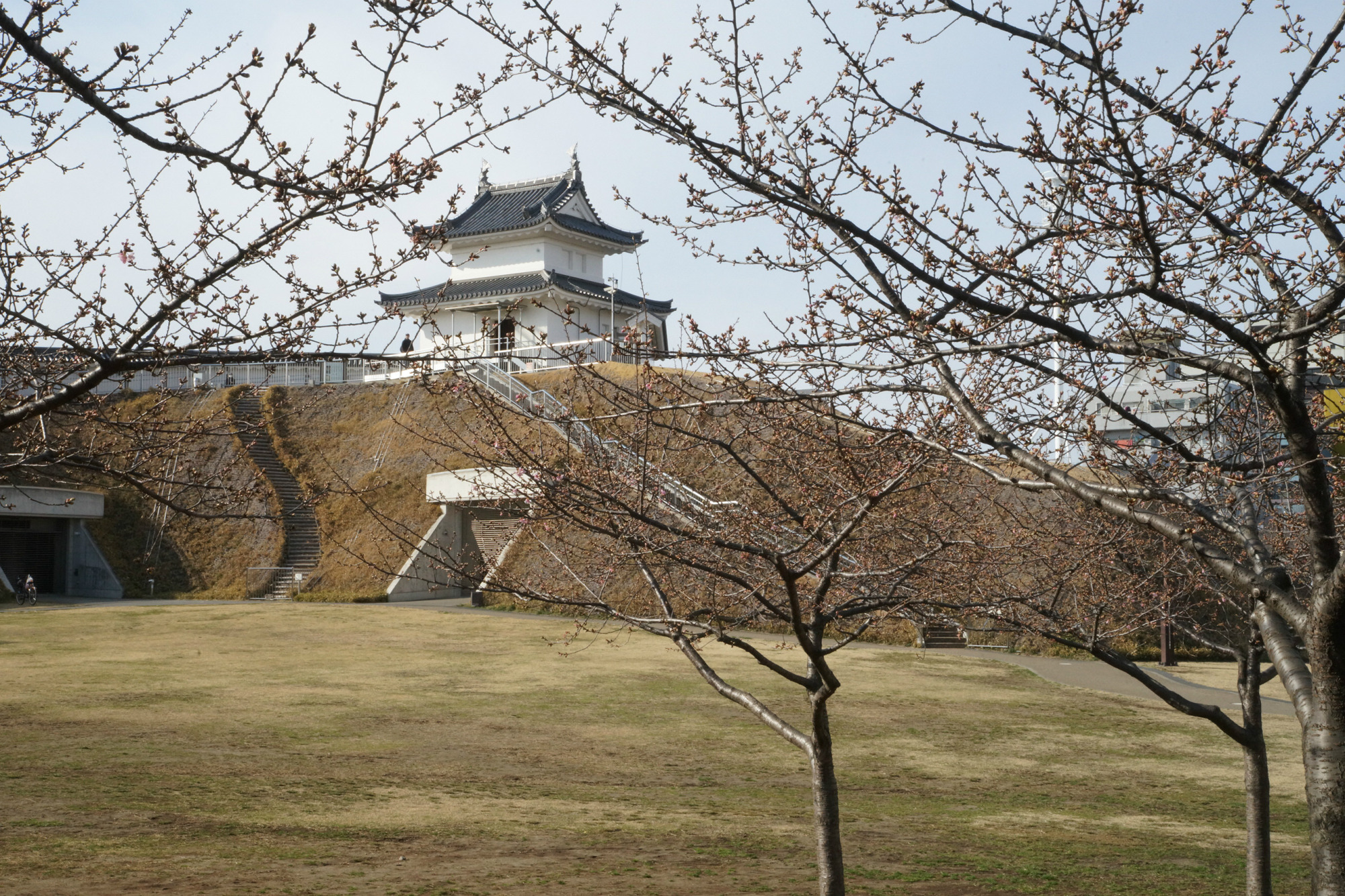 2018年3月7日(水)