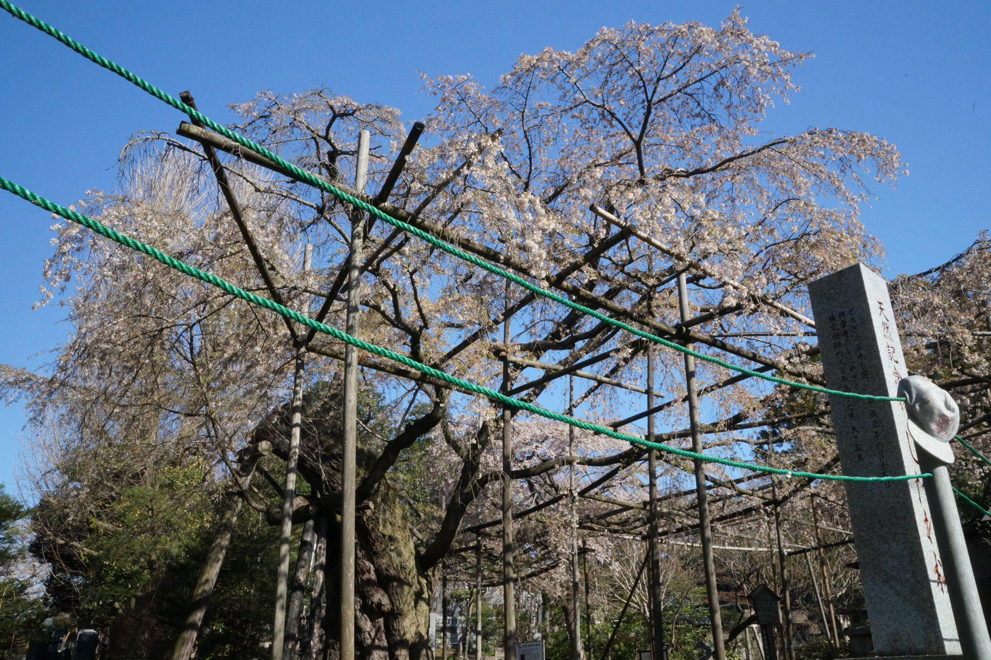 2018年4月9日(月)