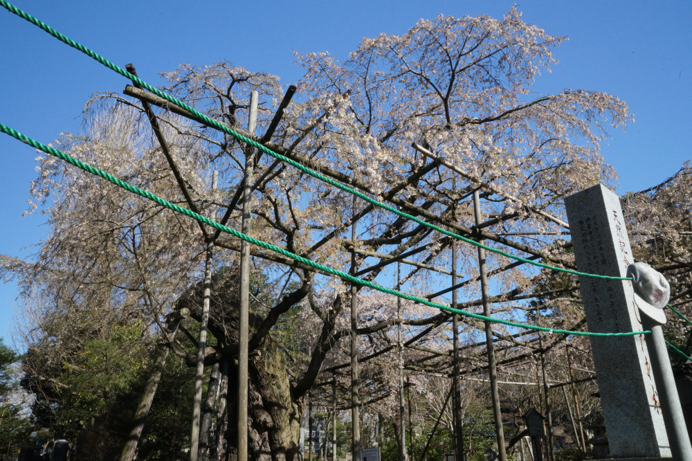 2018年4月9日（月）