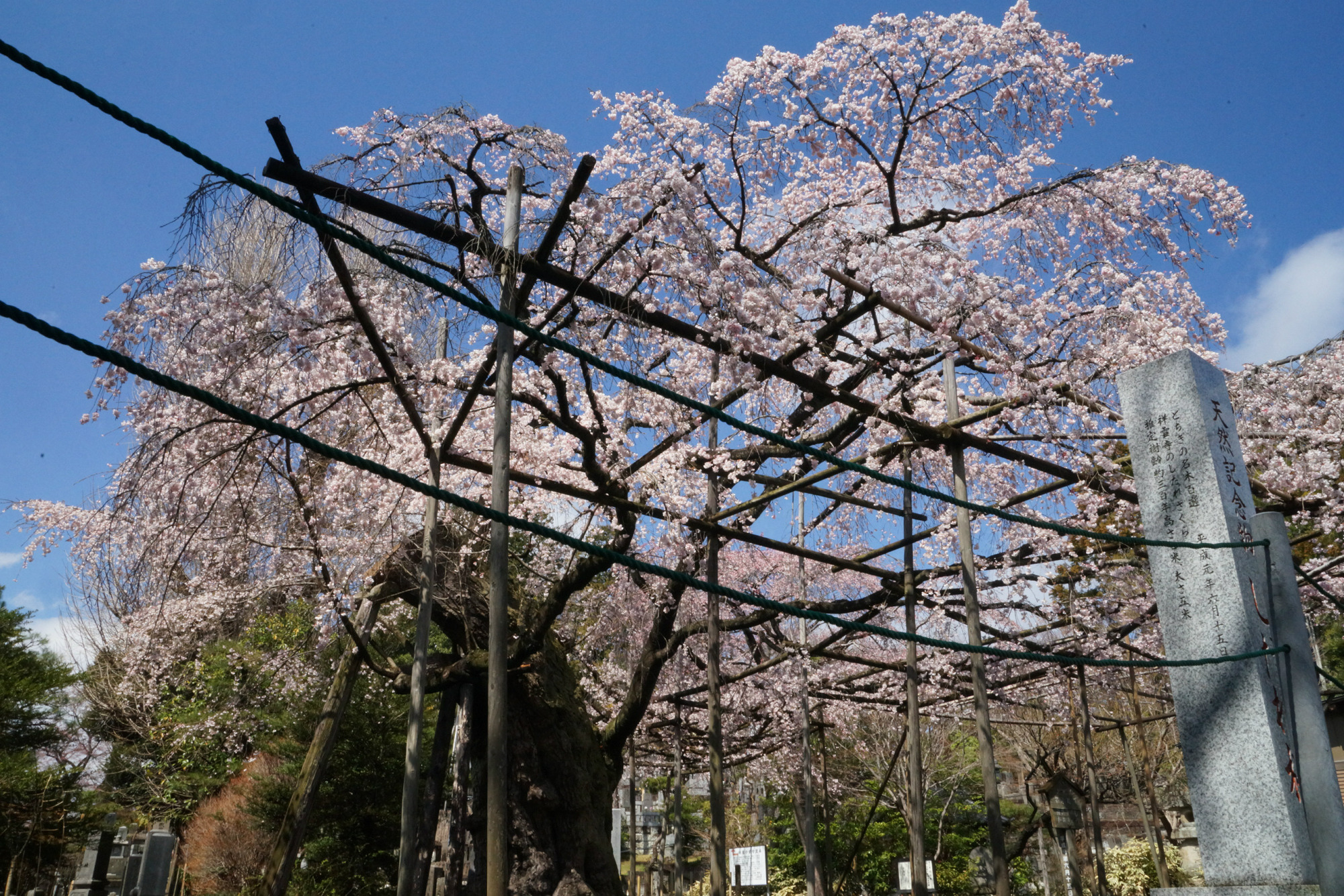2018年3月31日(土)