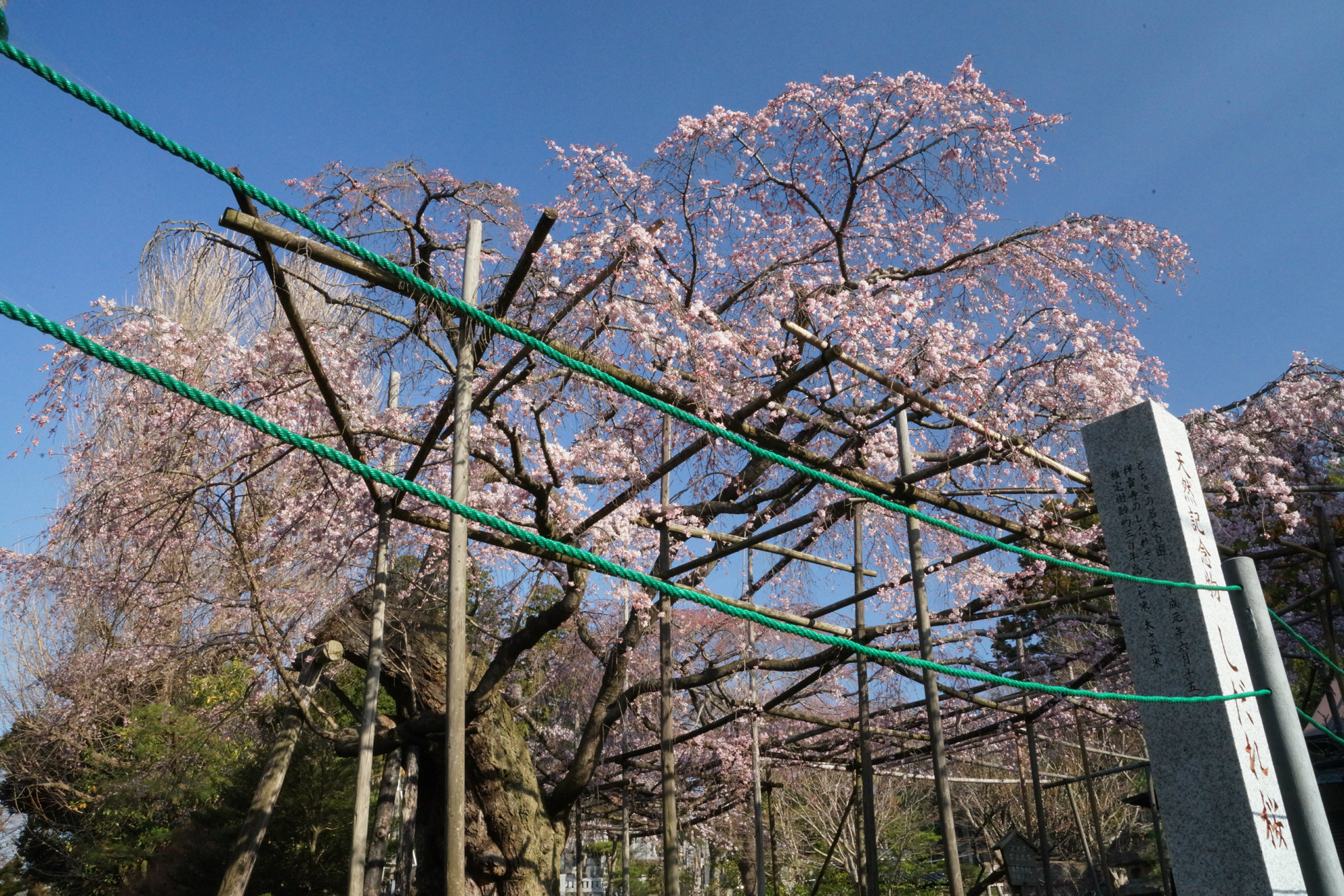 2018年3月27日(火)