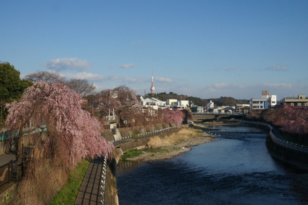 2018年4月4日（水）