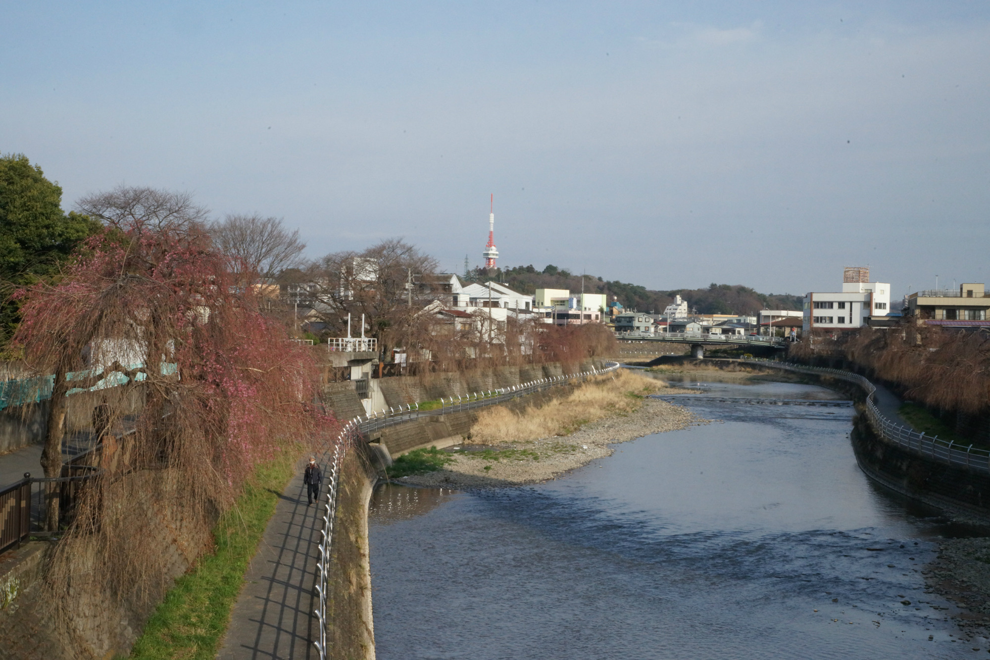 2018年3月26日(月)
