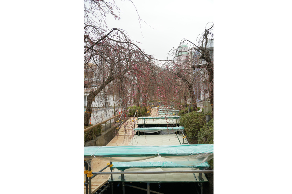 2018年3月23日（金）