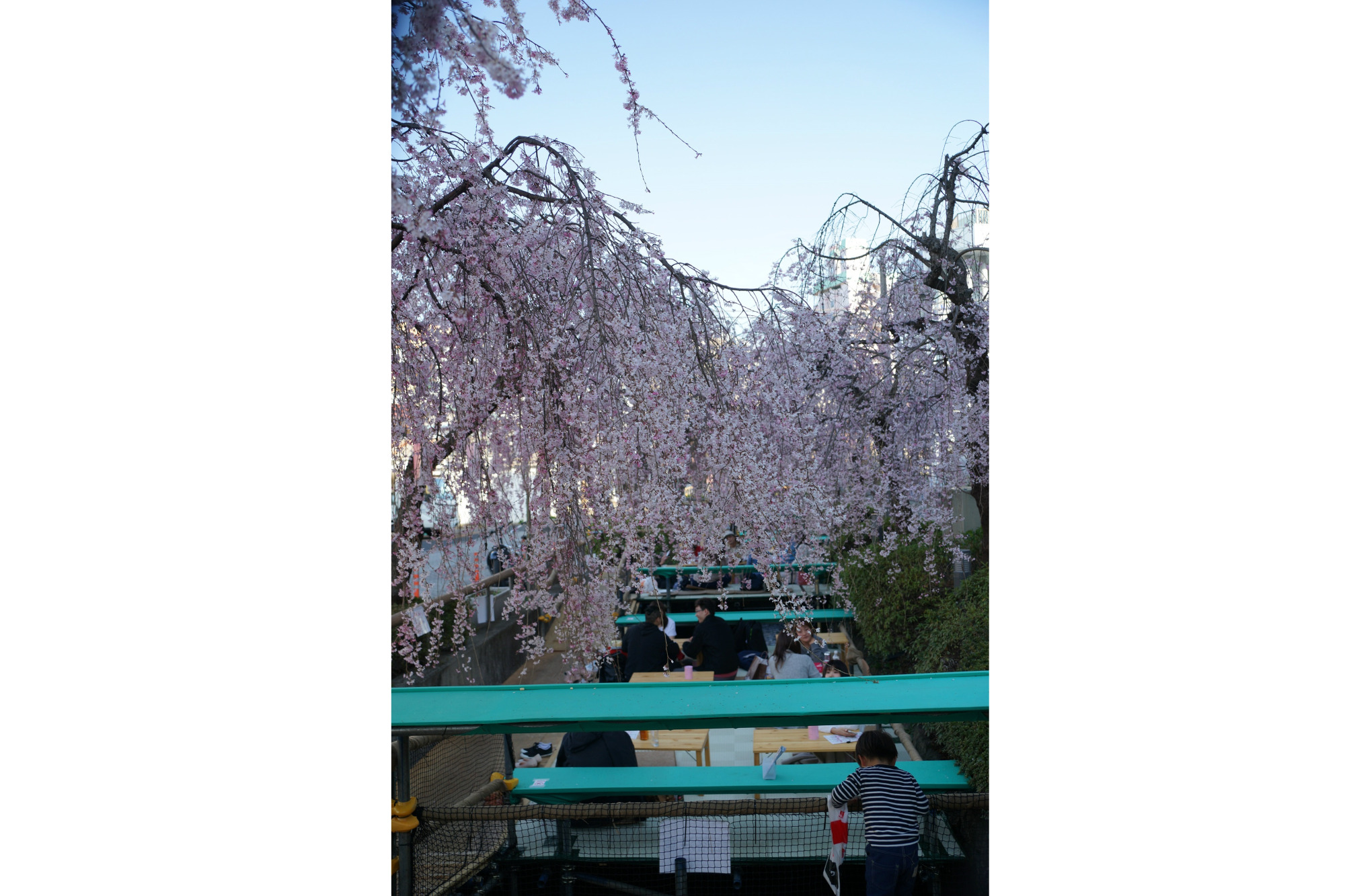2018年4月5日(木)