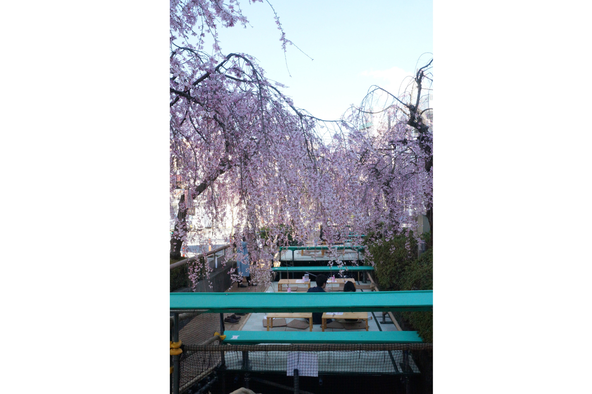 2018年4月2日(月)