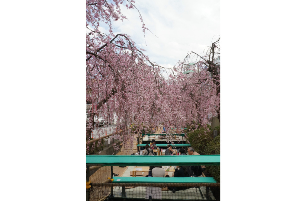 2018年4月1日（日）