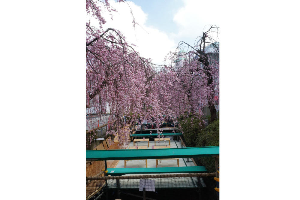 2018年3月31日（土）