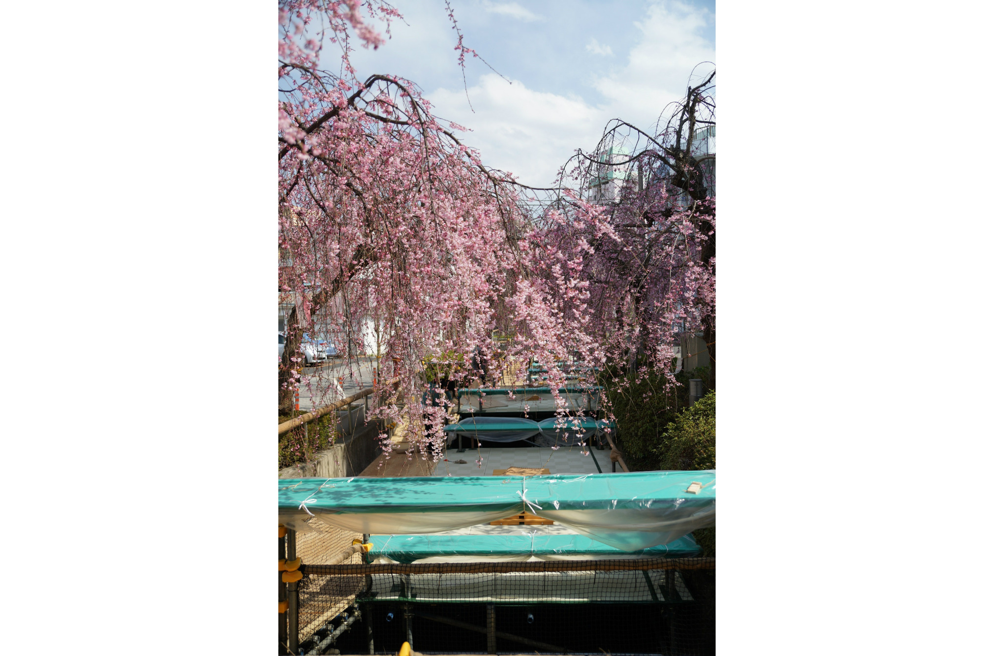 2018年3月28日(水)
