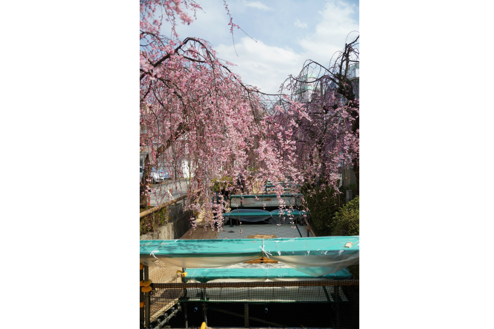 2018年3月28日（水）