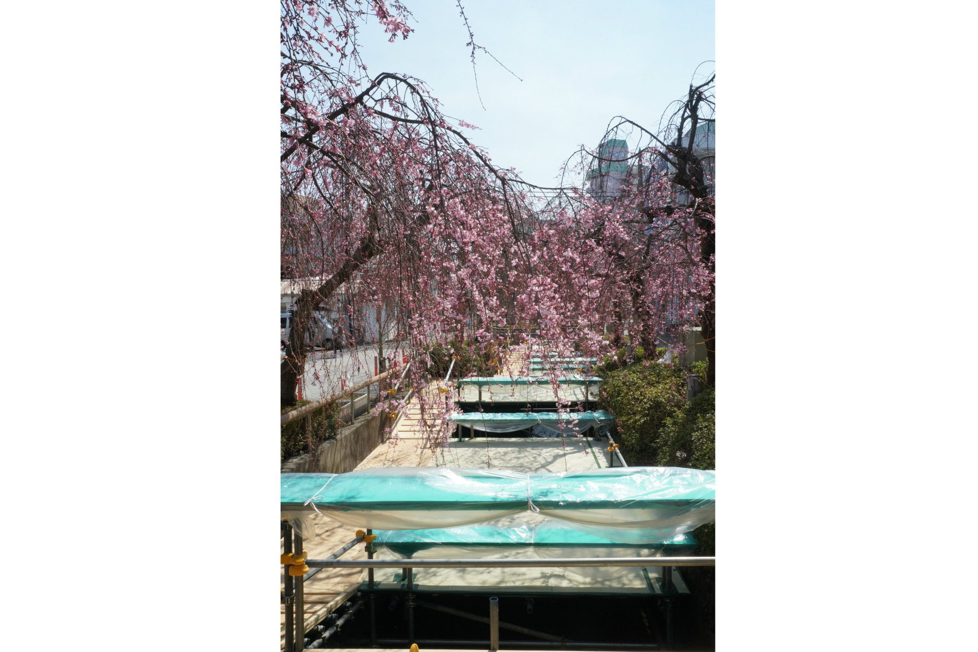 2018年3月27日(火)