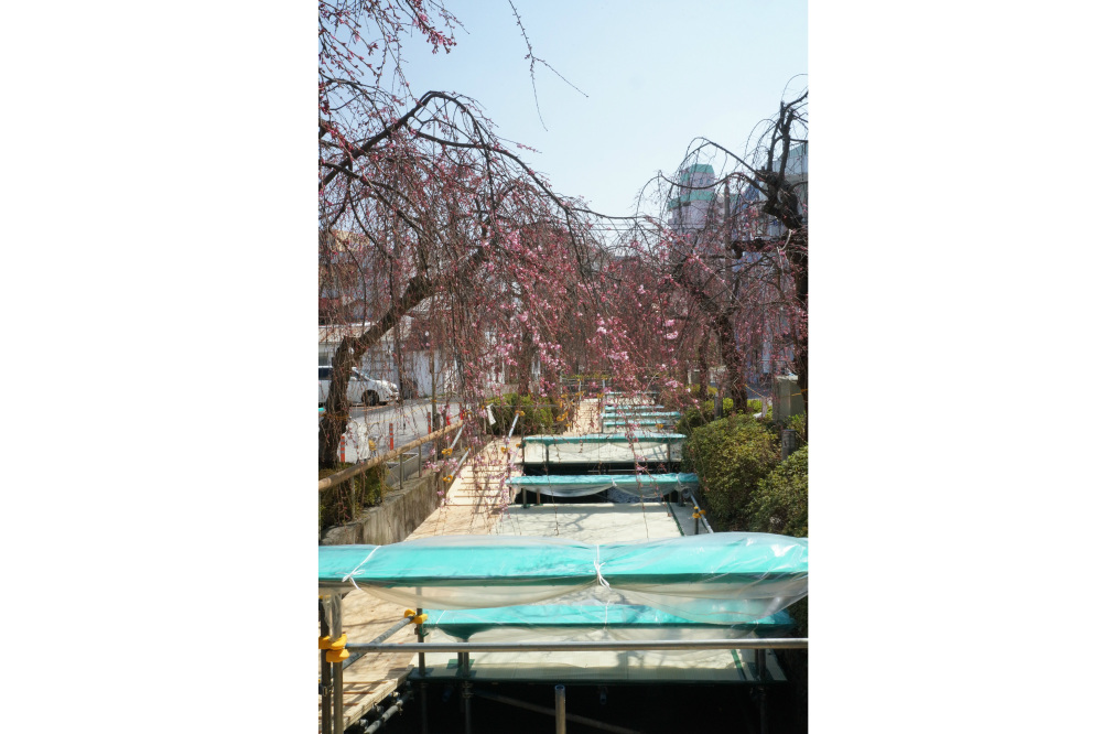 2018年3月25日（日）