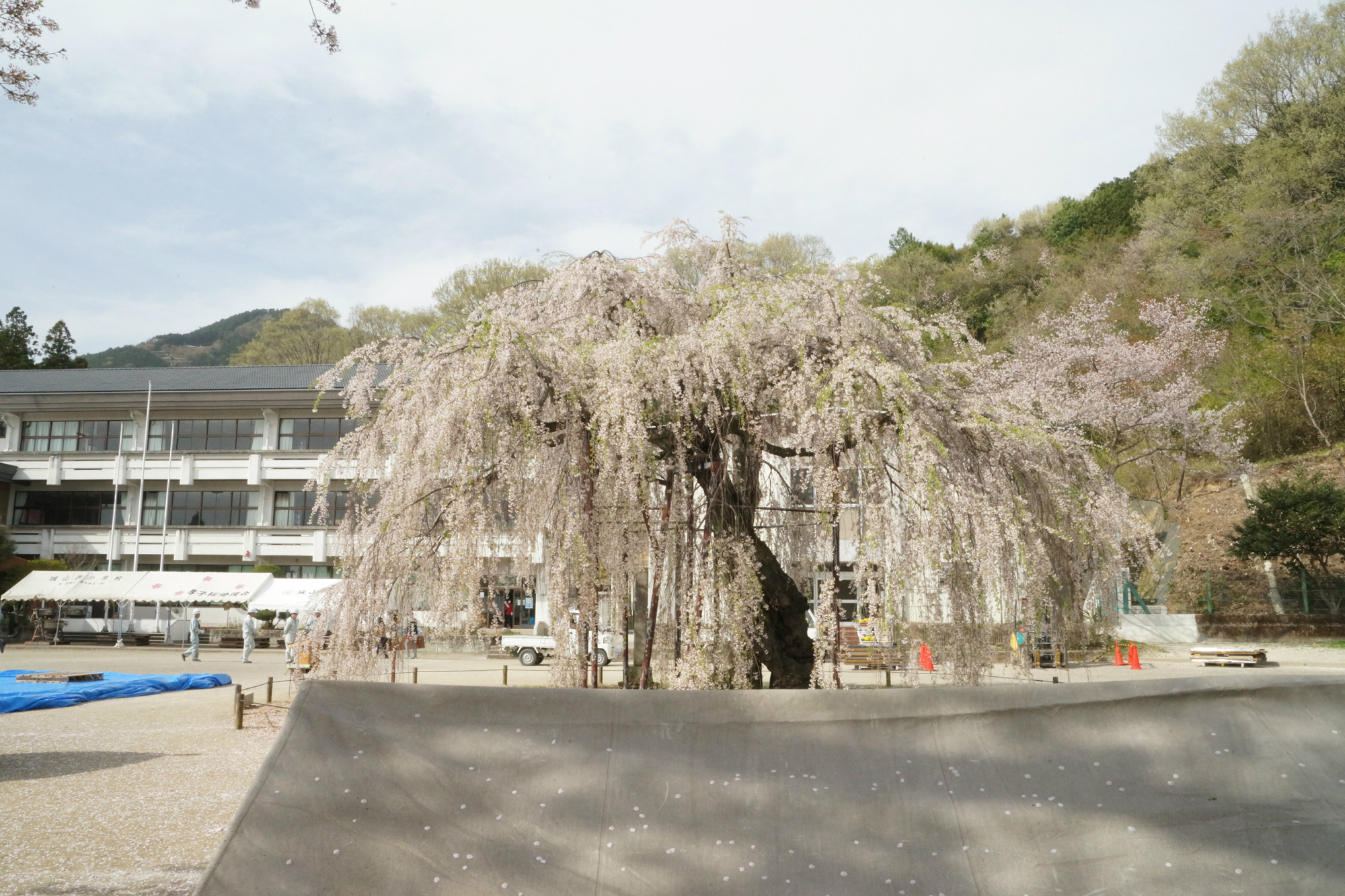2018年4月6日(金)