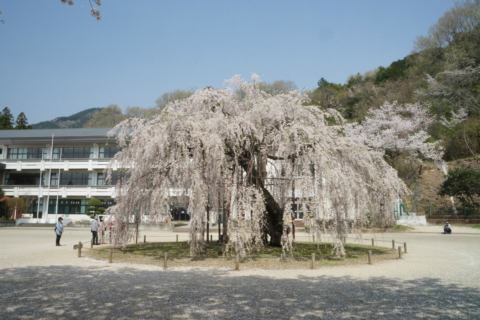 2018年4月4日(水)