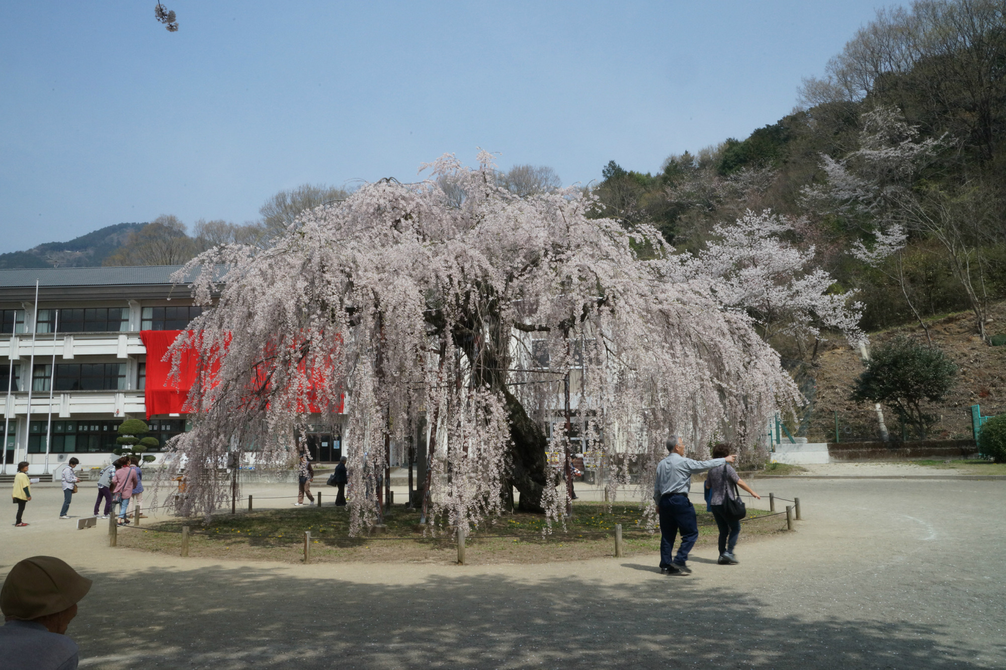 2018年4月3日(火)