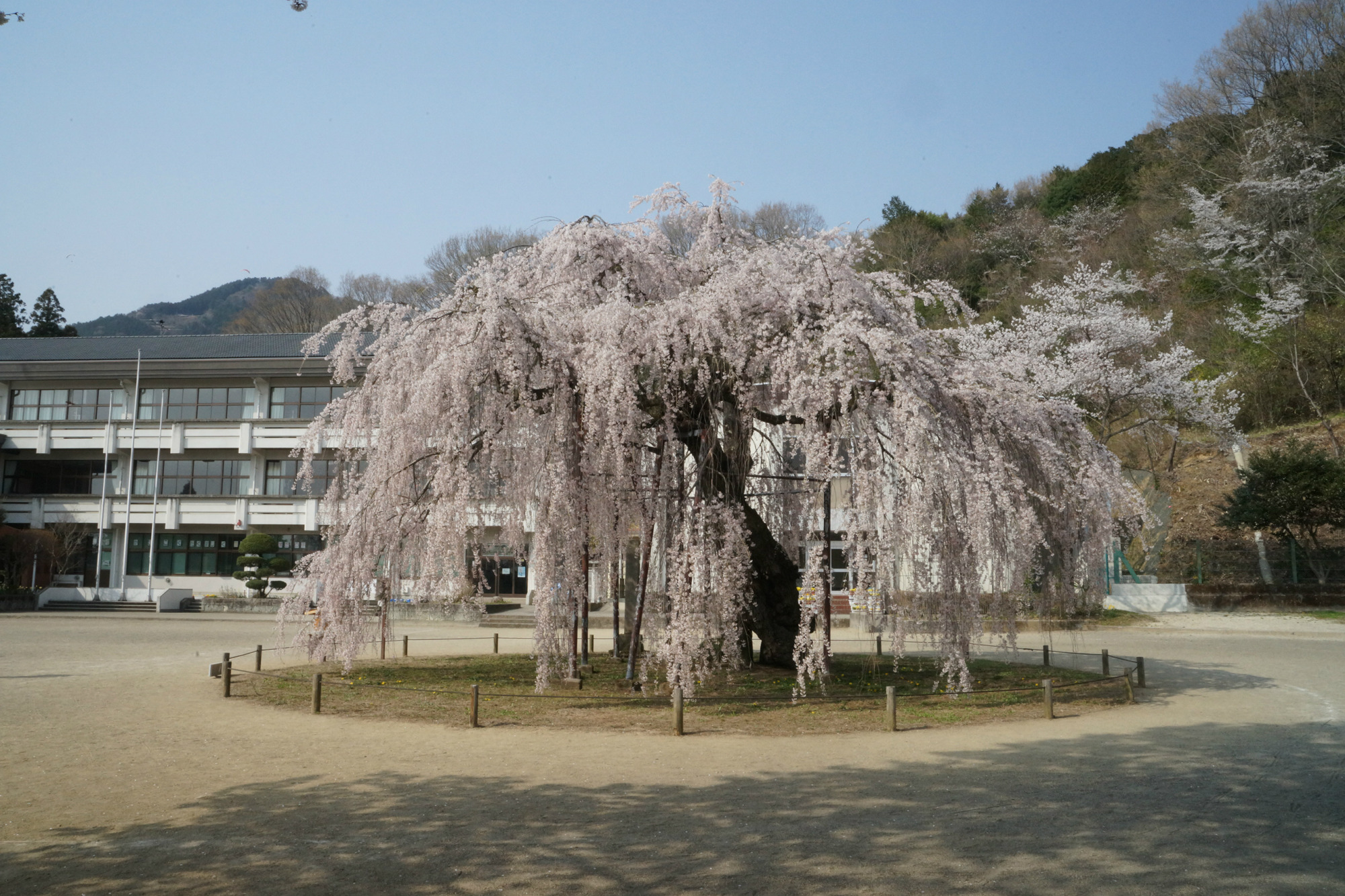 2018年4月2日(月)