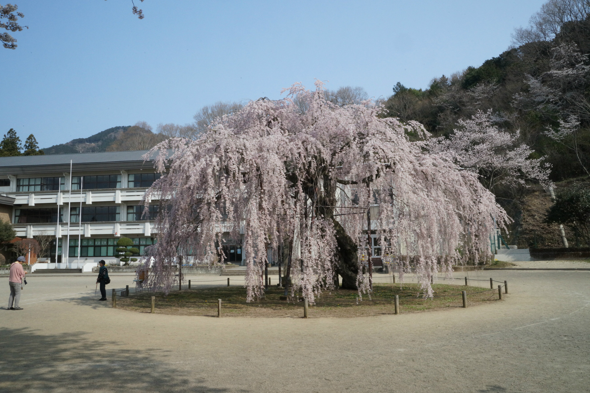 2018年4月1日(日)