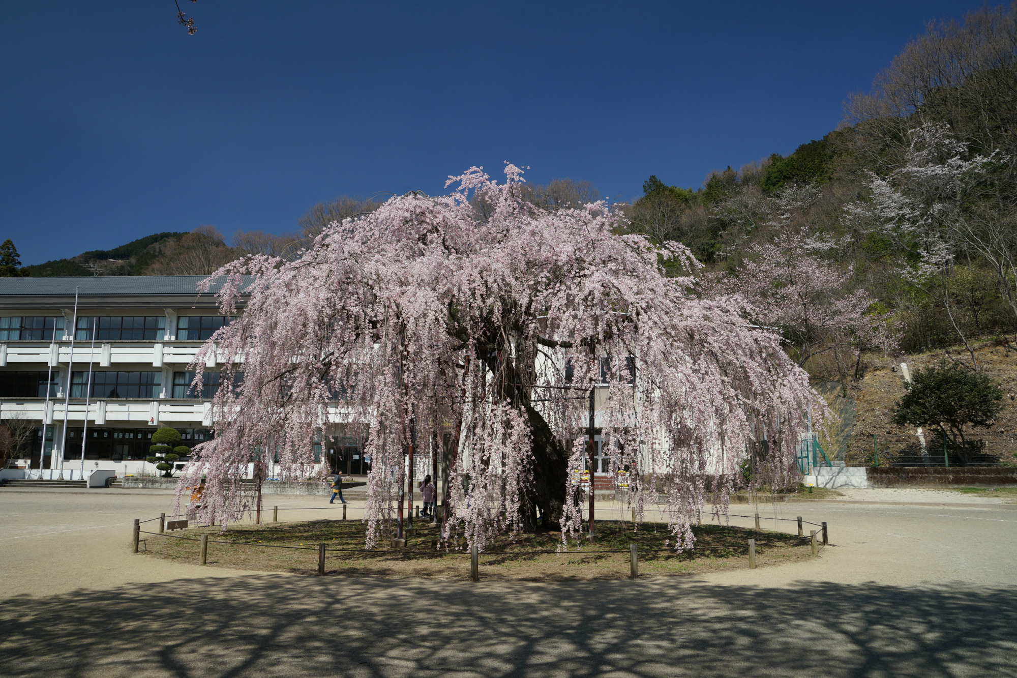 2018年3月30日(金)
