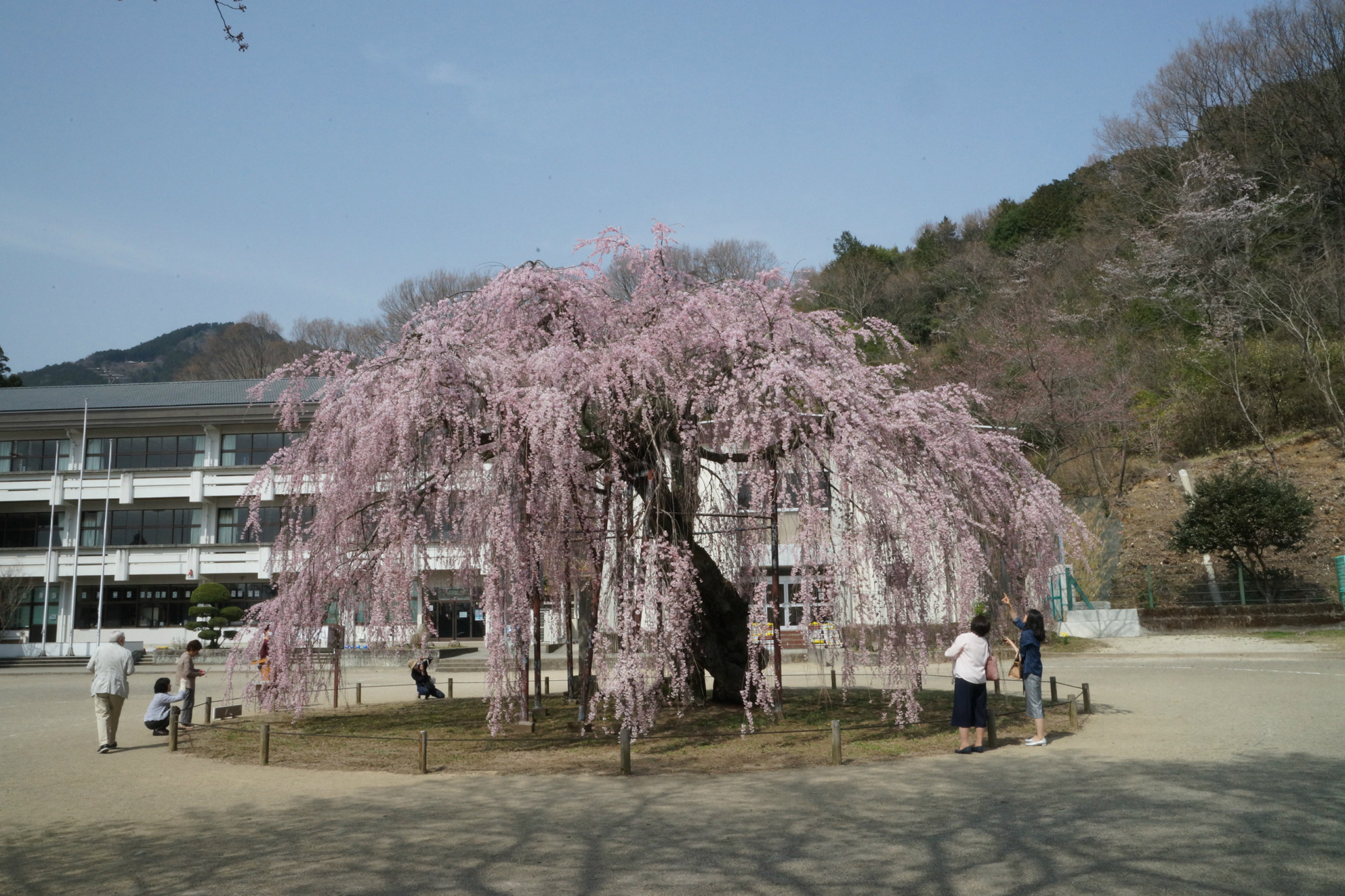 2018年3月29日(木)