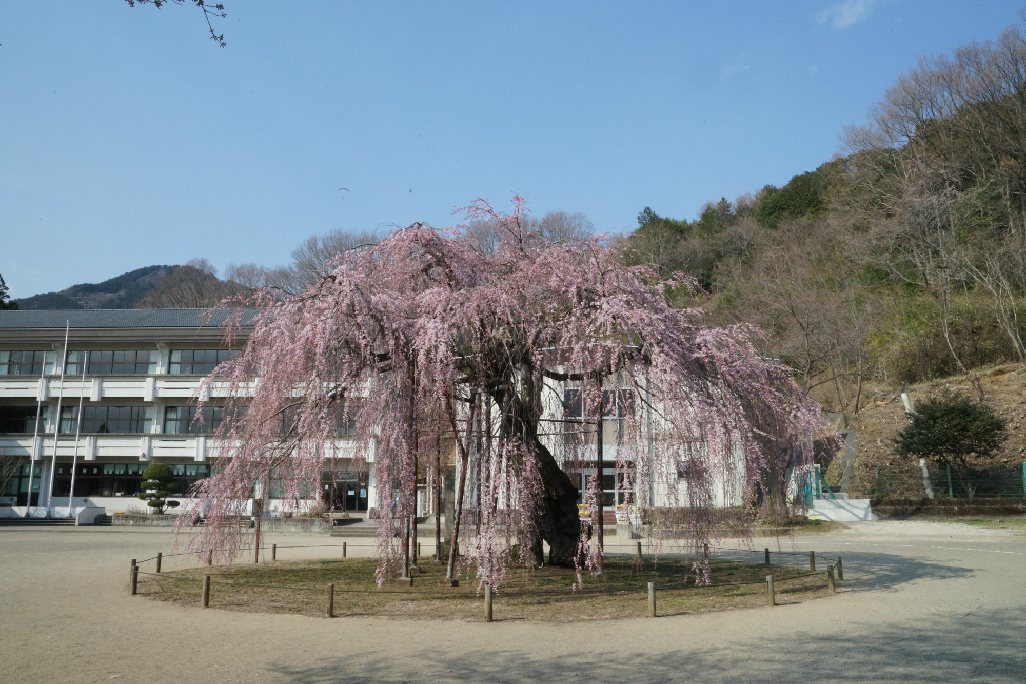 2018年3月28日(水)