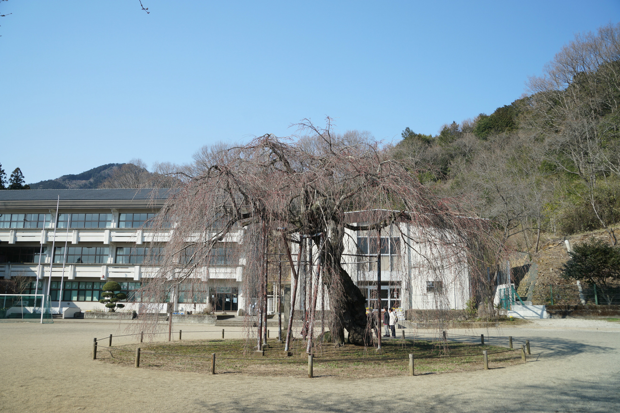 2018年3月25日(日)