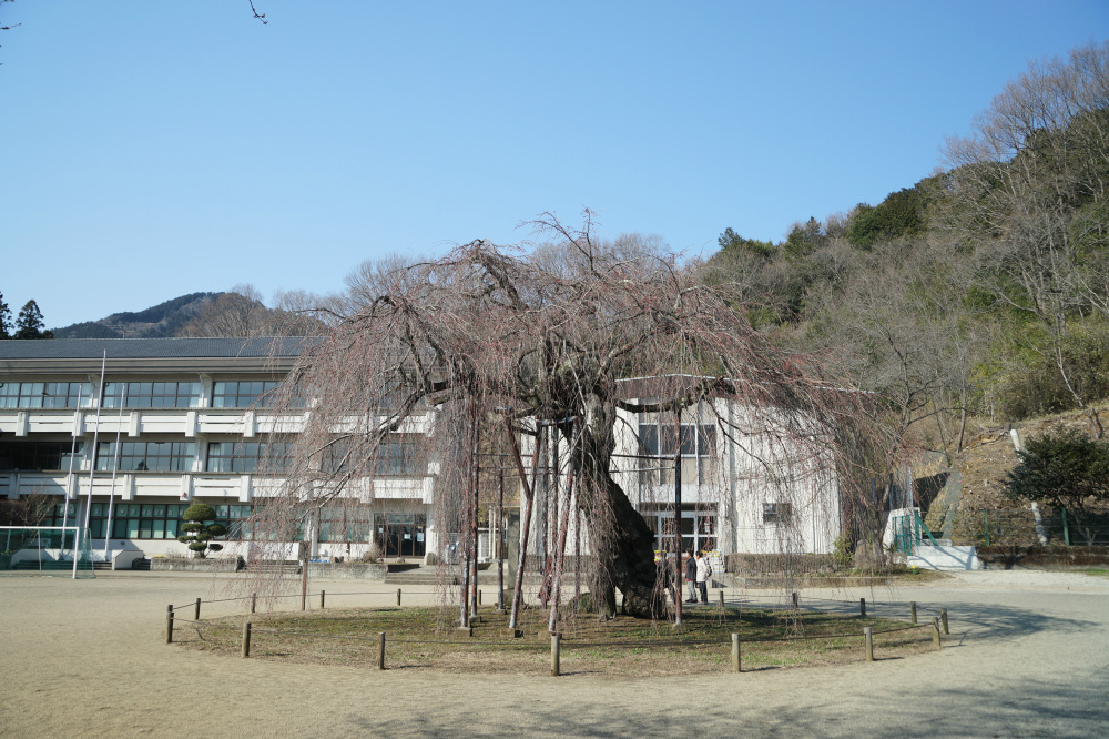 2018年3月25日（日）