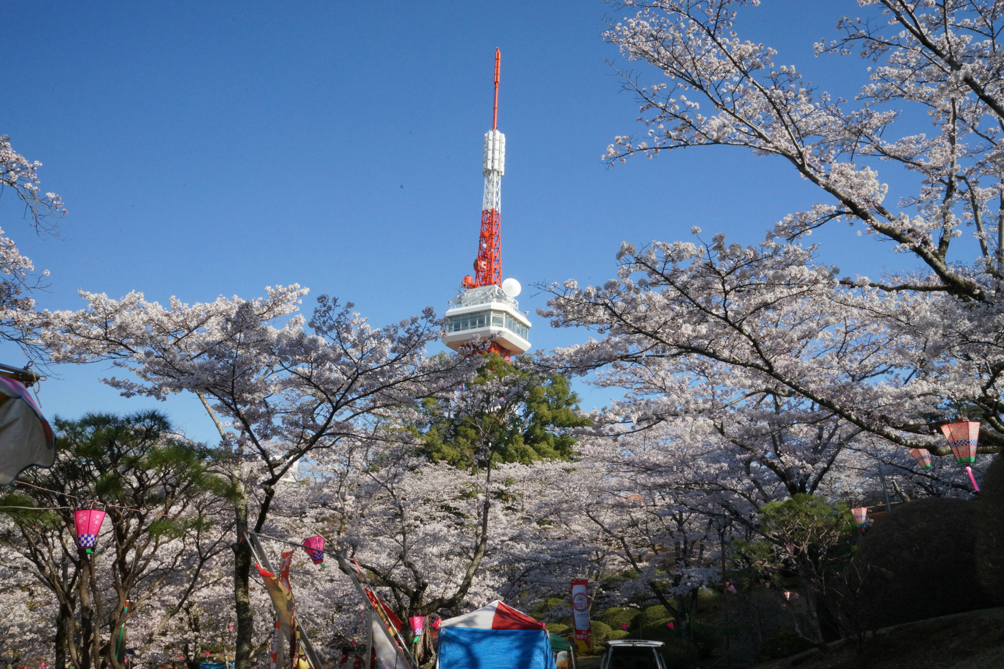 2018年3月30日(金)