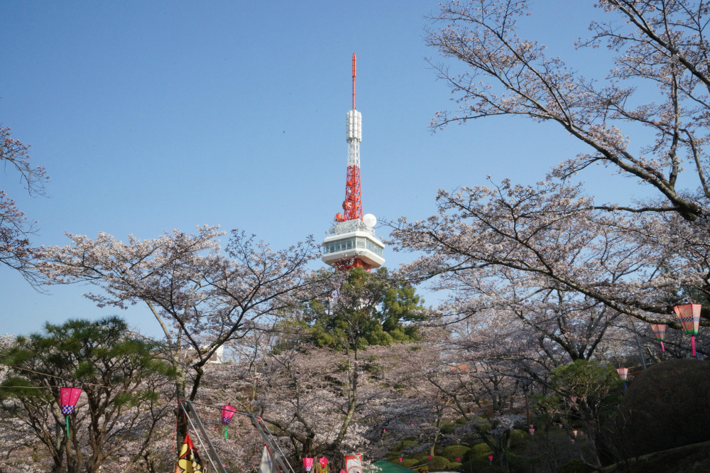 2018年3月29日（木）