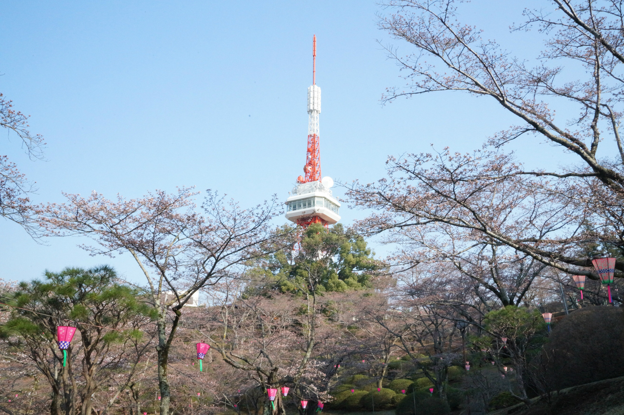 2018年3月28日(水)
