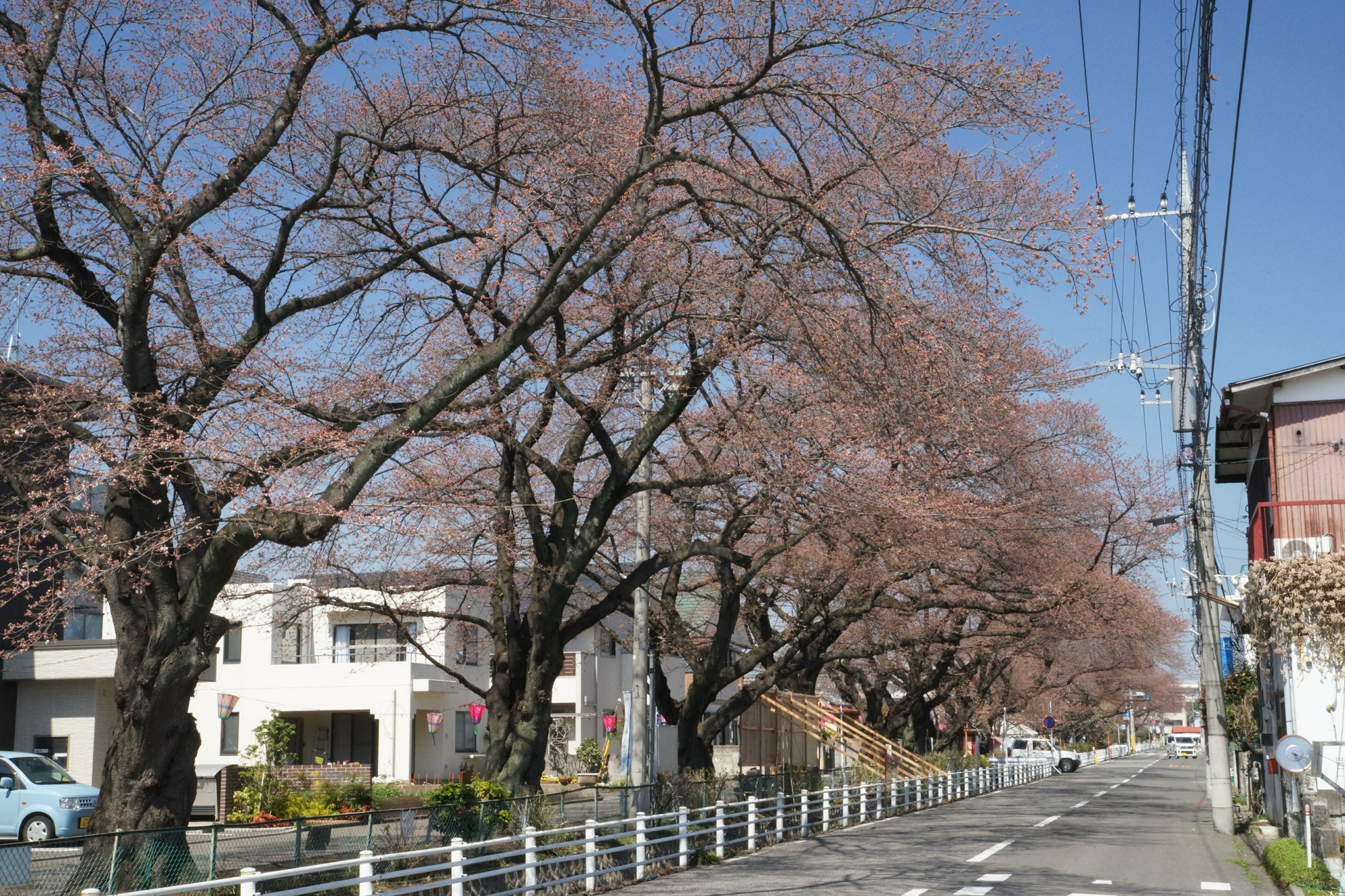 2018年3月26日(月)