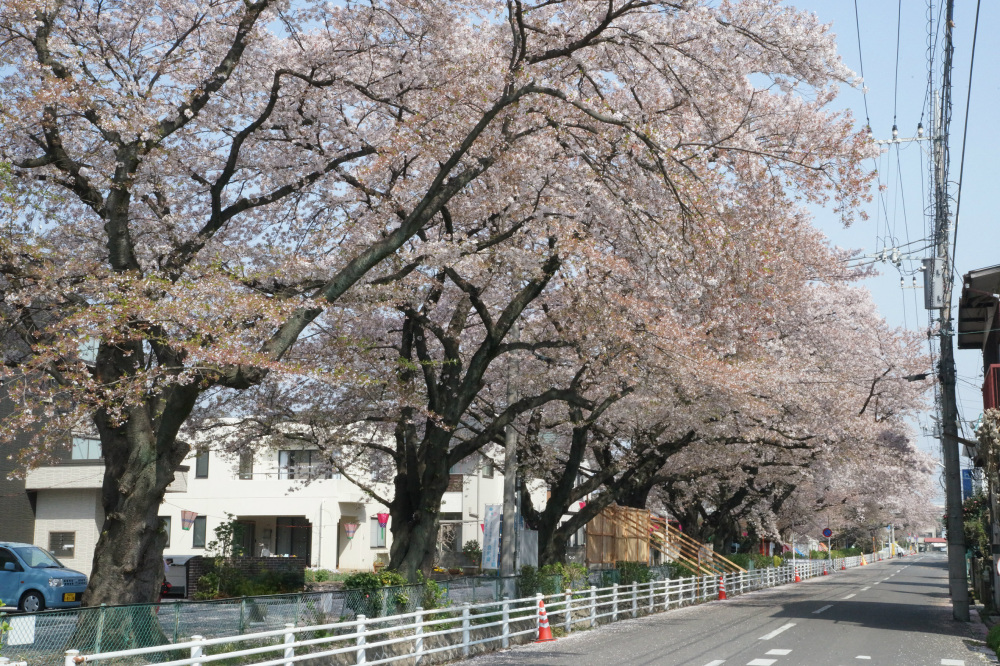 2018年4月4日（水）