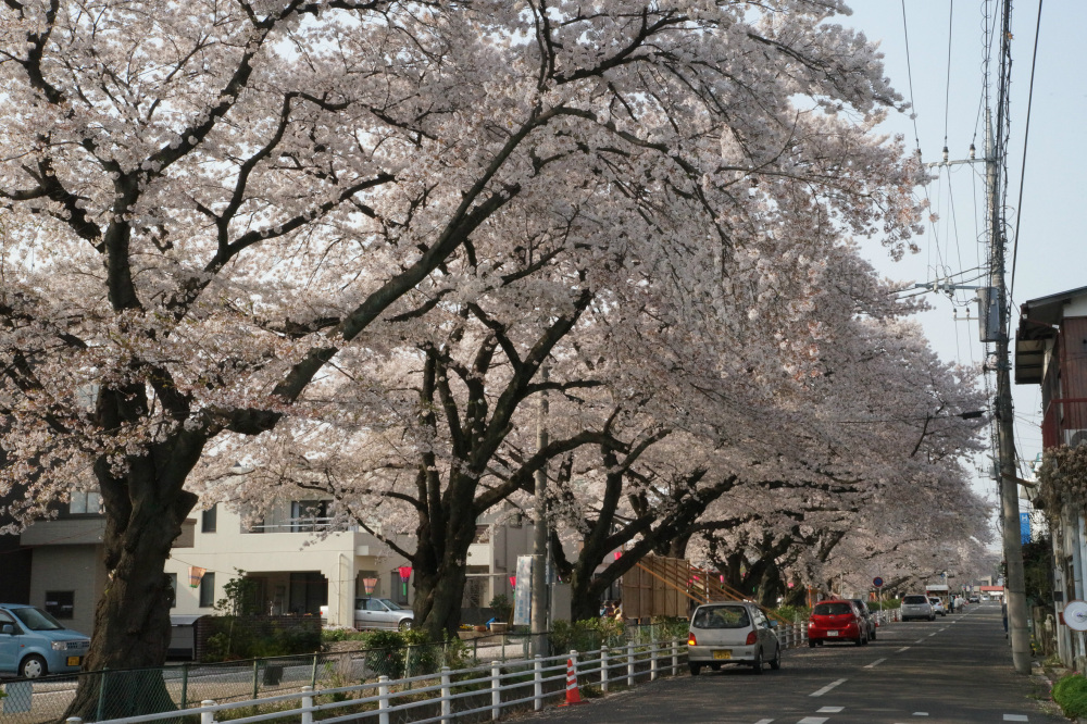 2018年4月2日（月）