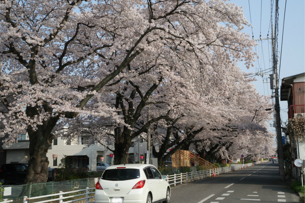2018年4月1日（月）