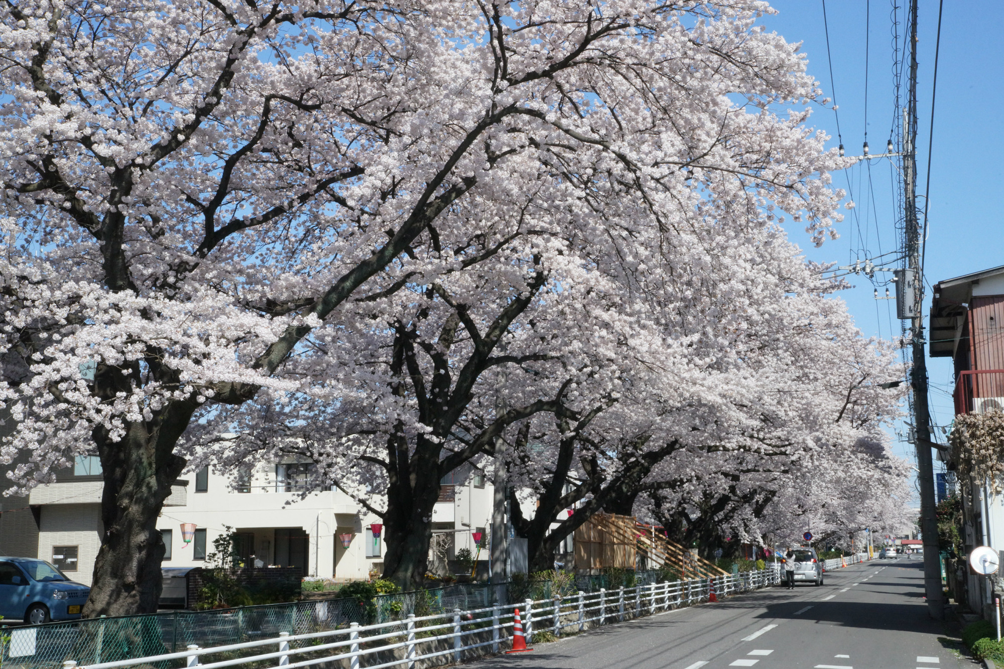 2018年3月30日(金)