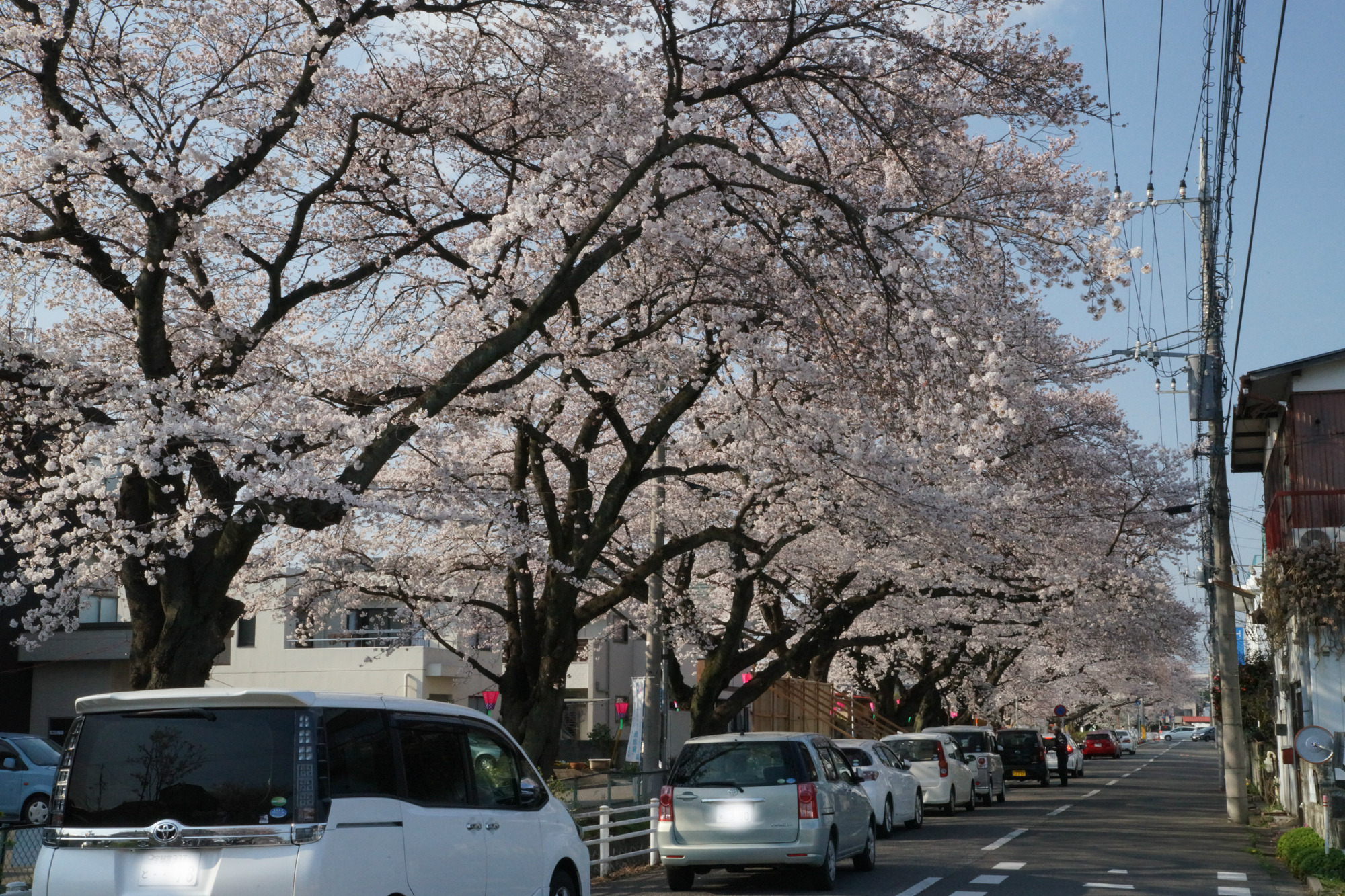 2018年3月28日(水)