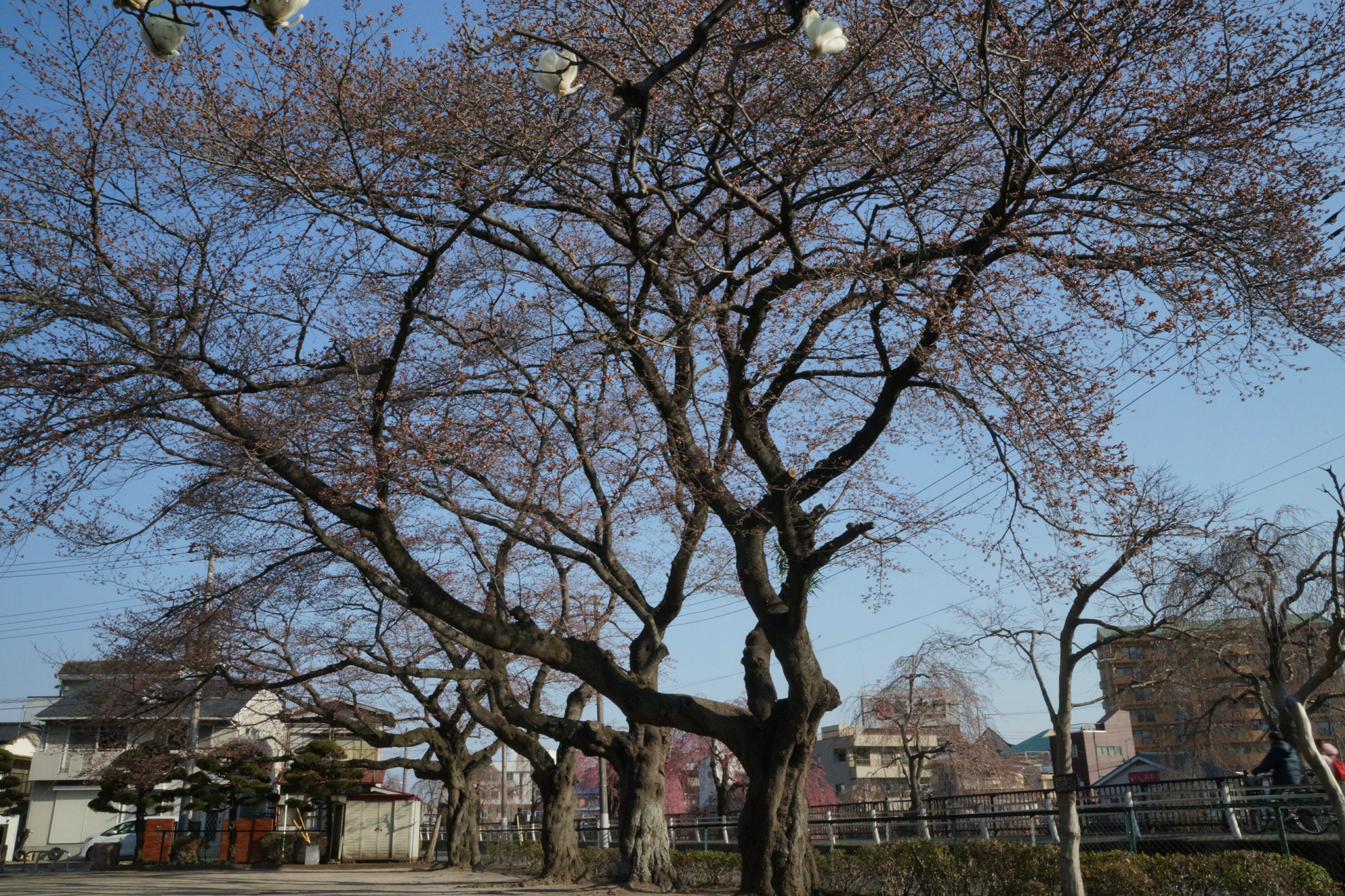 2018年3月27日(火)