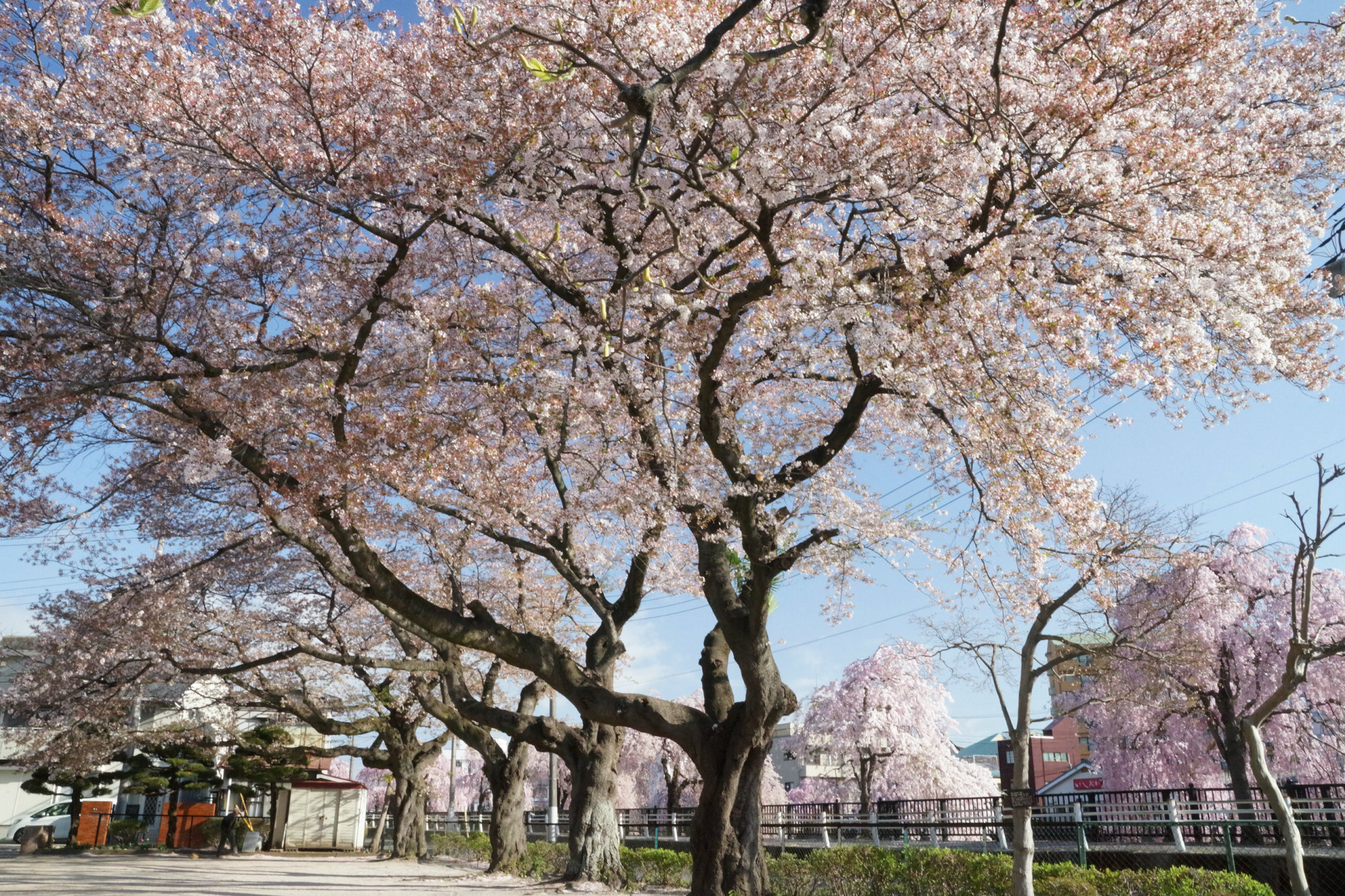 2018年4月5日(木)