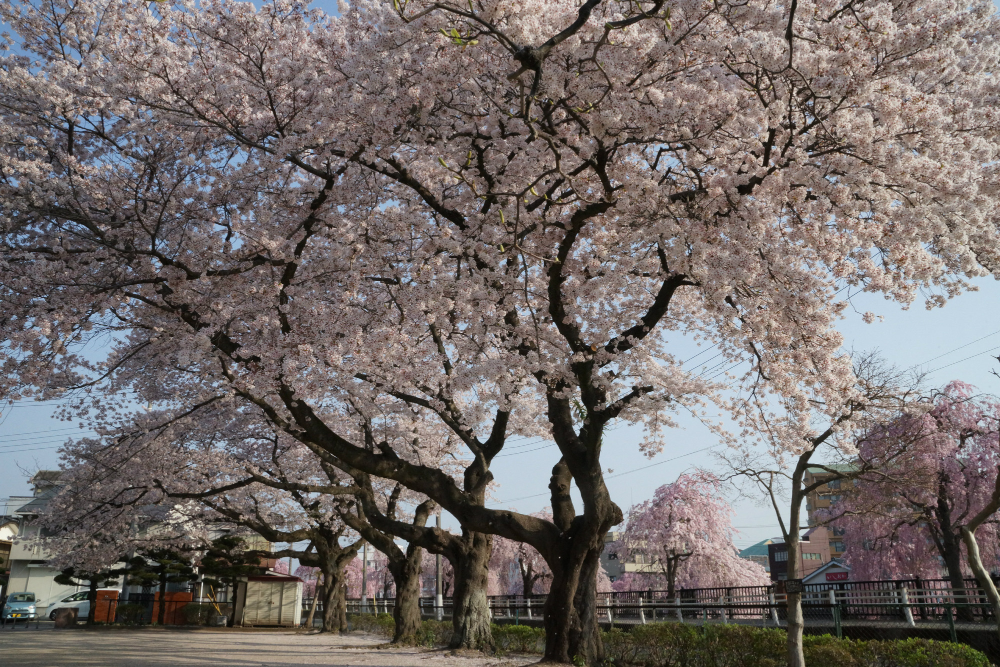 2018年4月4日(水)