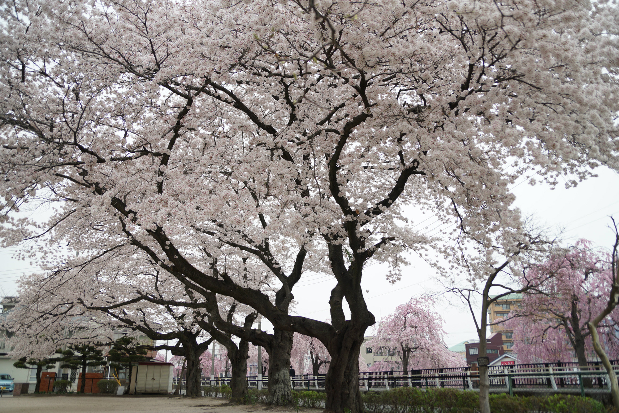 2018年4月3日(火)