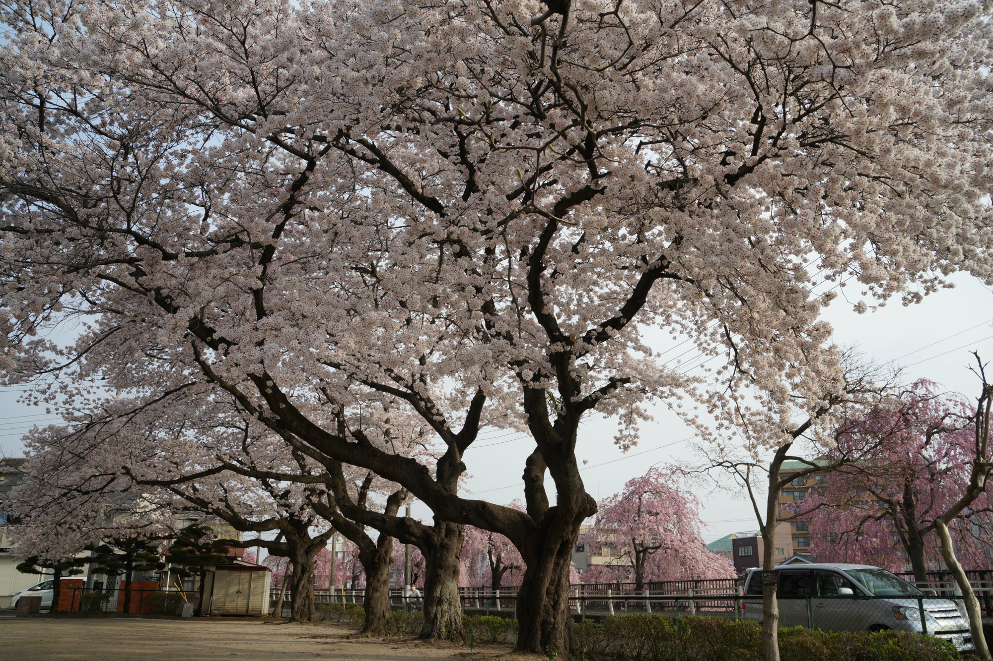 2018年4月2日(月)