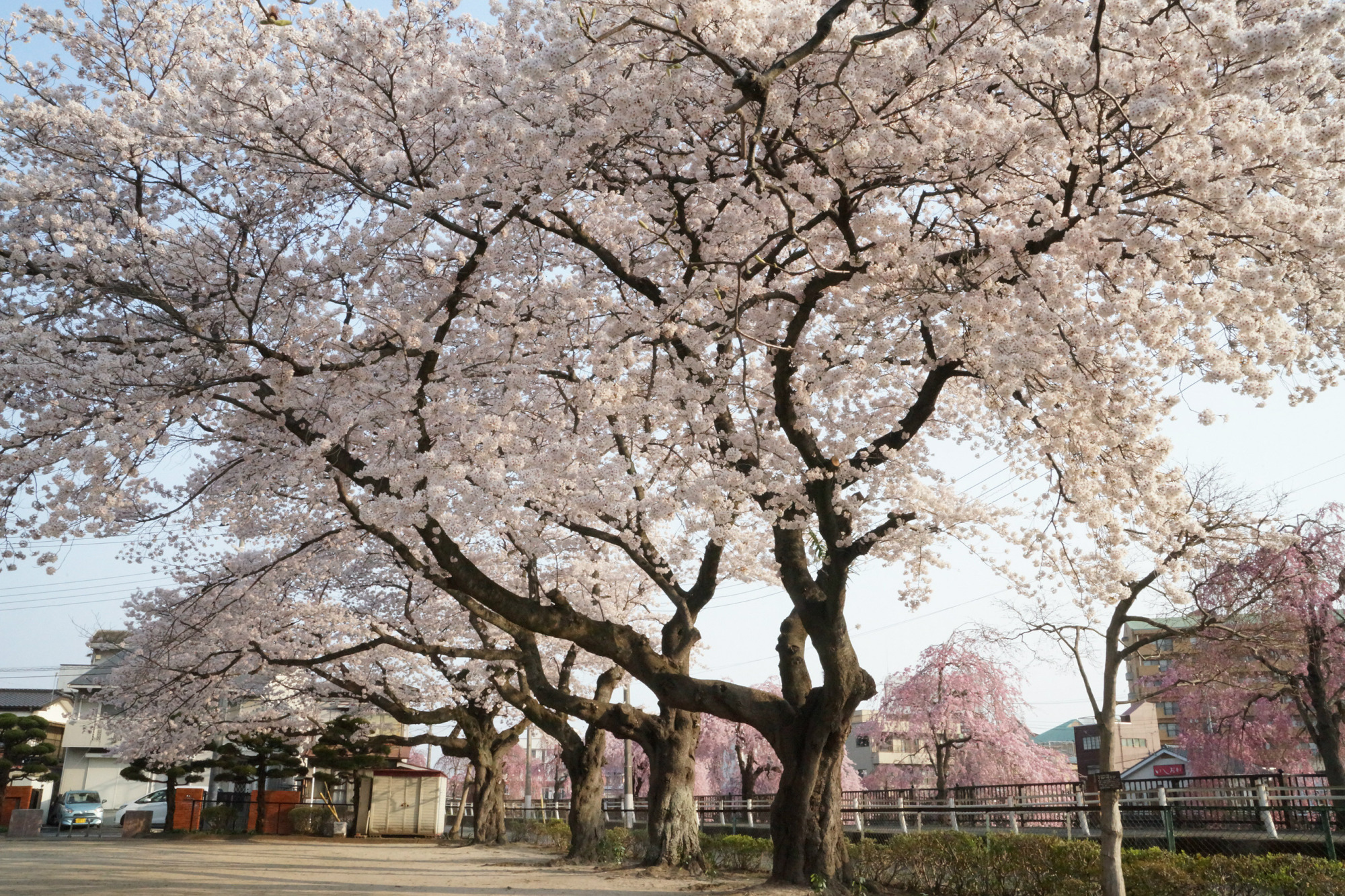 2018年4月1日(日)