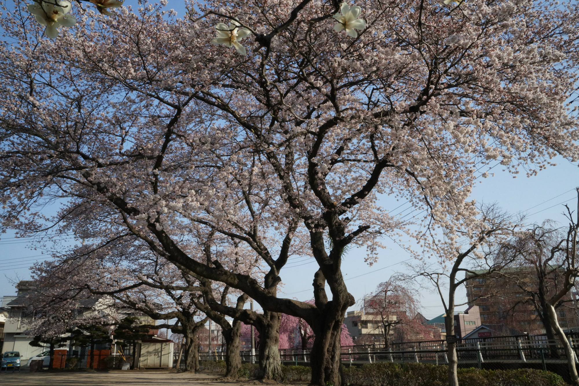 2018年3月29日(木)