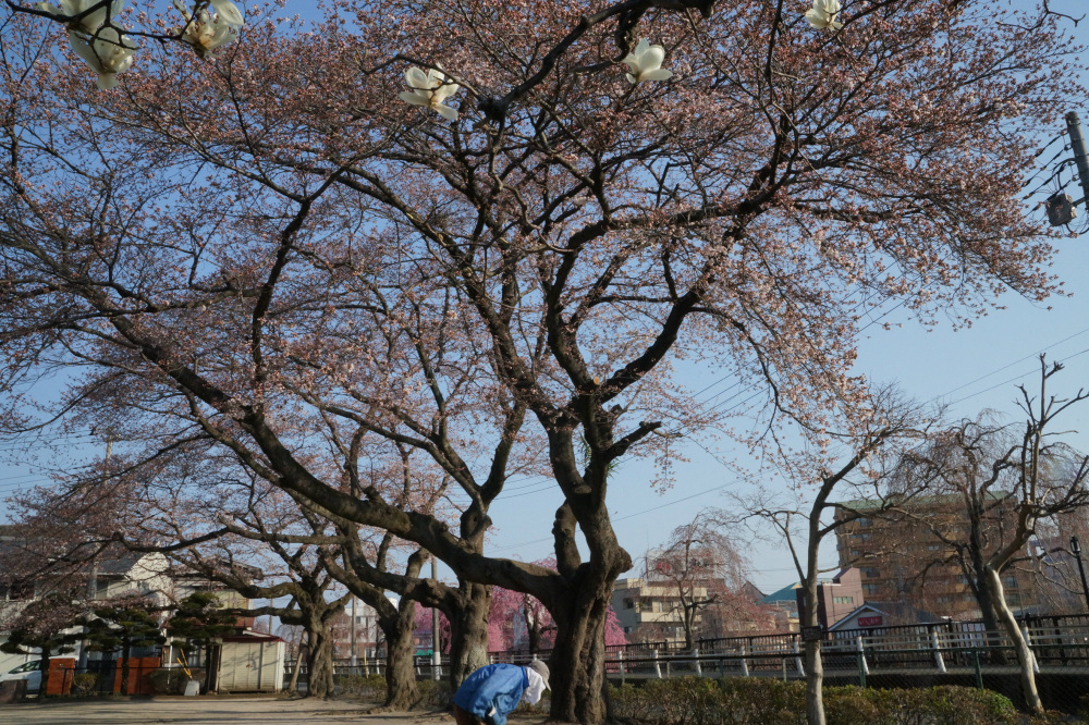 2018年3月28日（水）