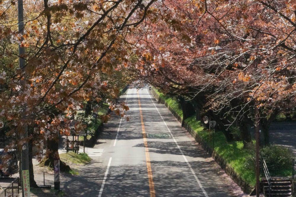 2018年4月10日（火）